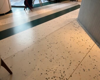 Epoxy Terrazzo Flooring
