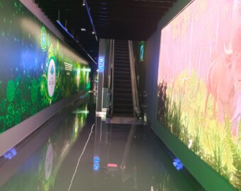 Epoxy Self Levelling